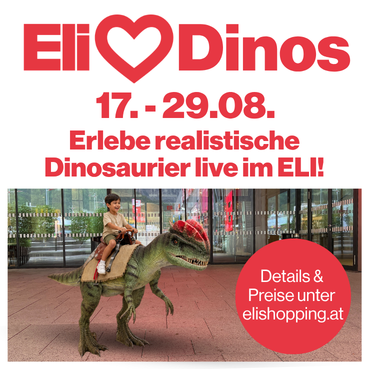 eli einkaufszentrum liezen