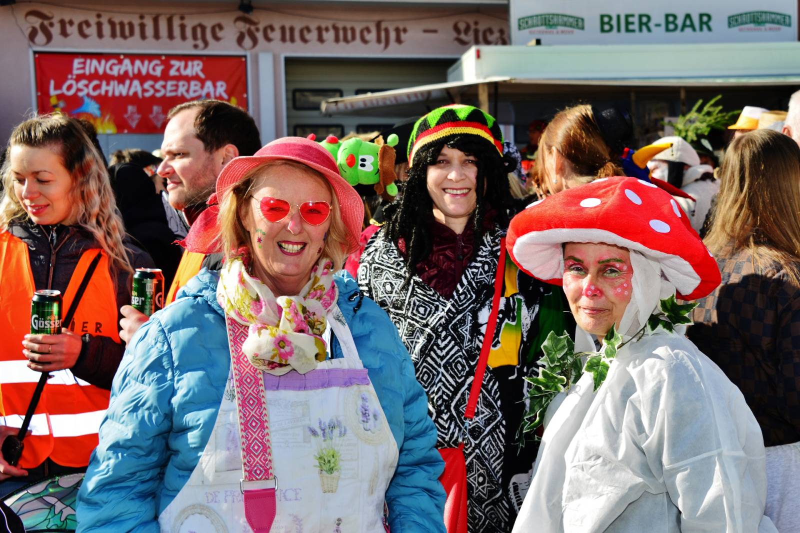 Faschingsumzug 2025 Liezen_12