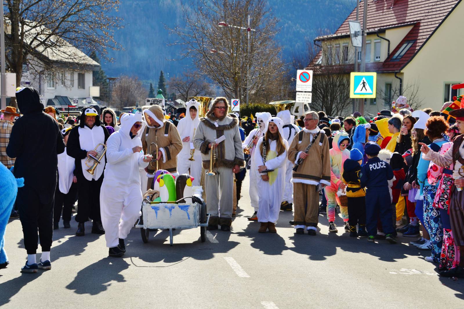 Faschingsumzug 2025 Liezen_1
