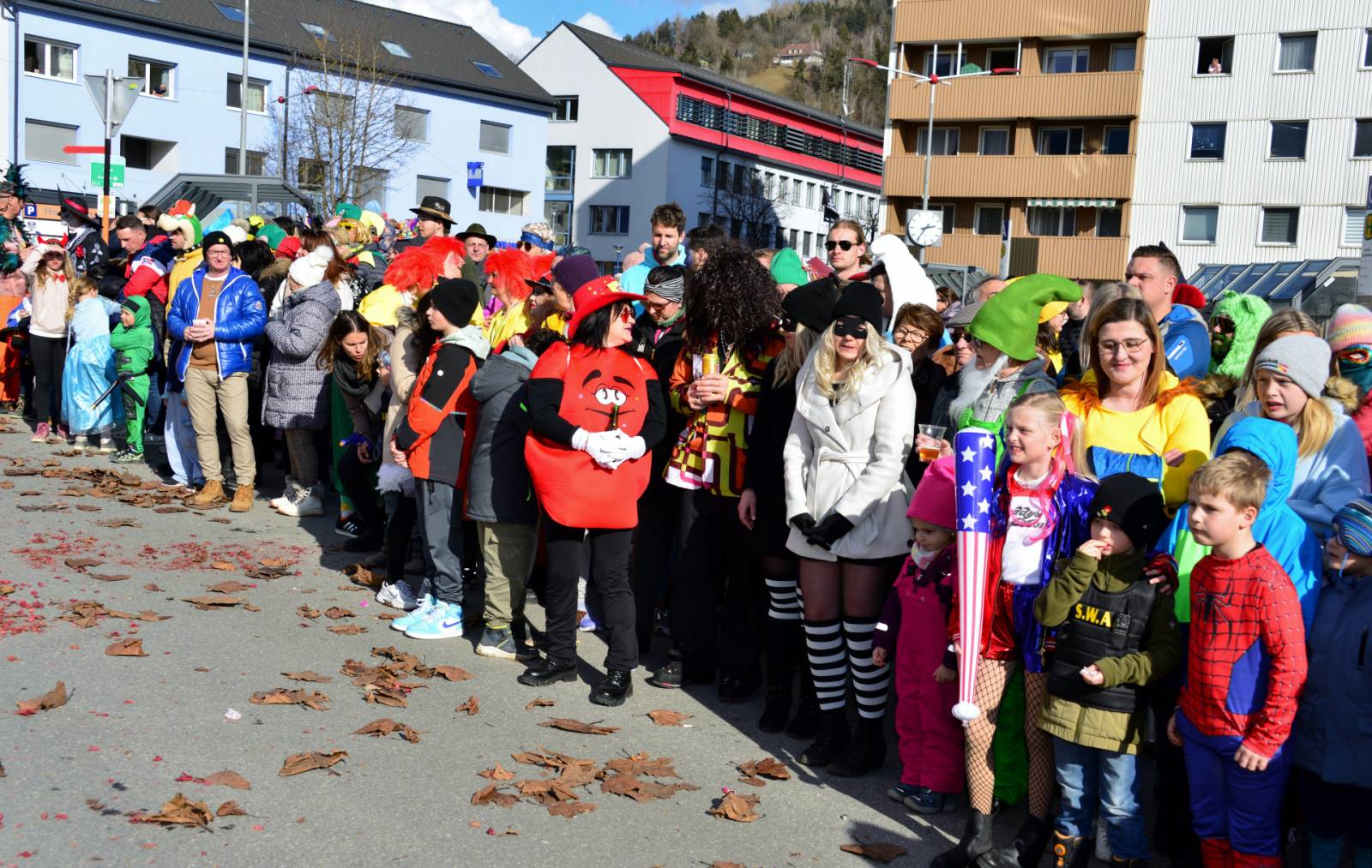 Faschingsumzug 2025 Liezen_53