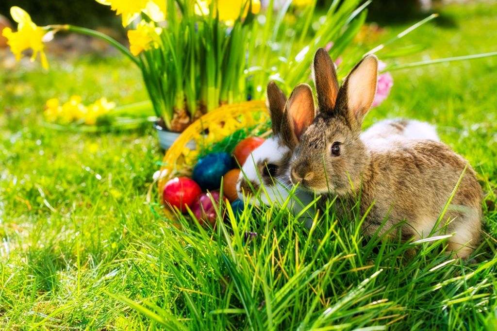 Ostern steht vor der Tür