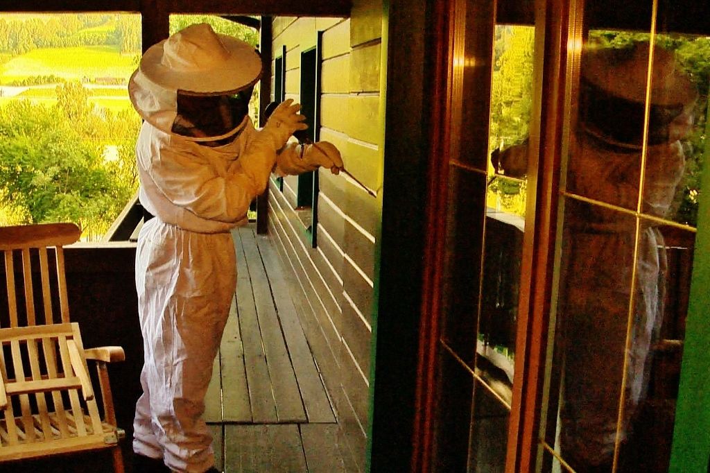Über 100 Kämpfe gegen Wespen