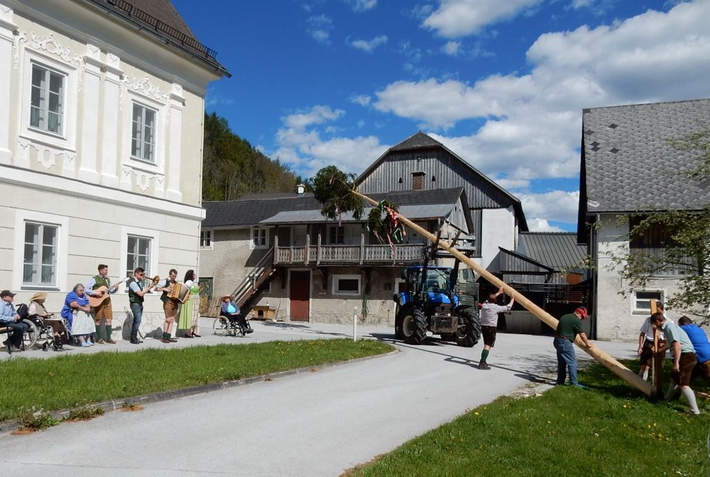 Unterburg stellte uns den Baum auf