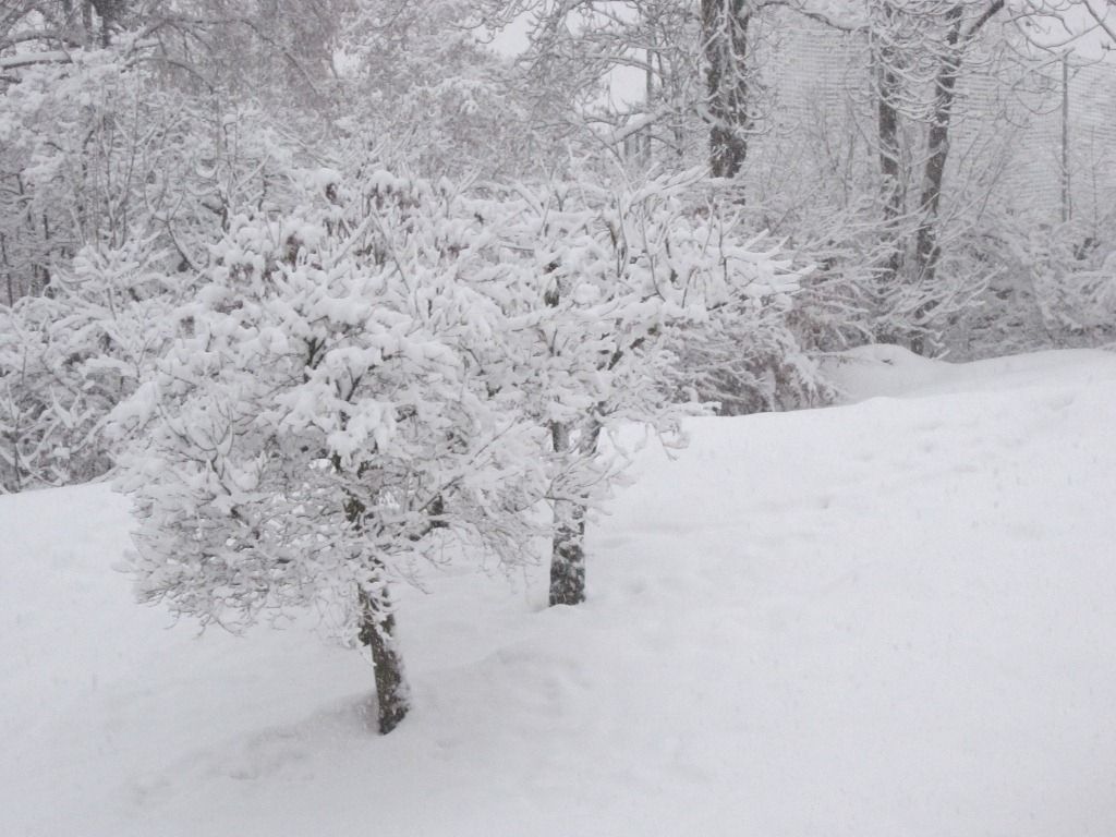 Andrea bringt uns Schneemassen
