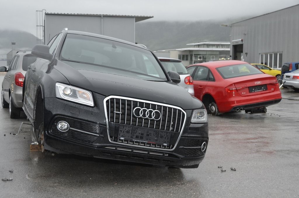 Dreiste Diebe bestehlen Autohaus.