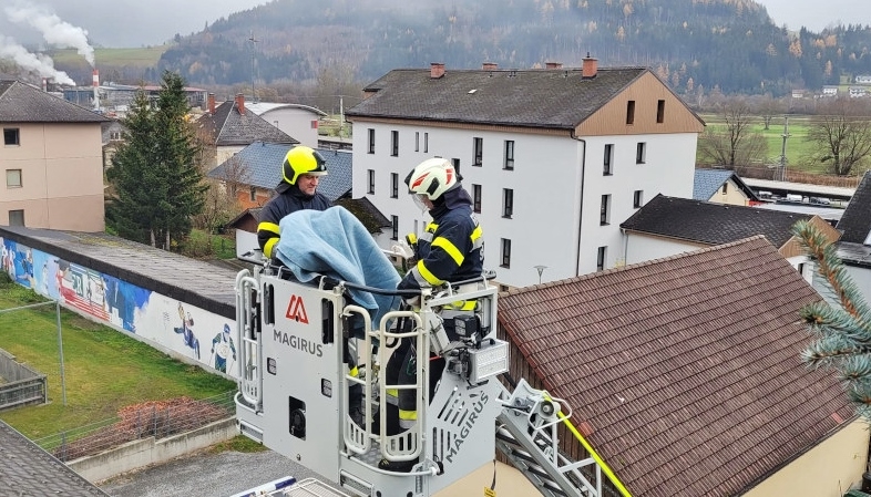 Tierrettung hoch über den Dächern