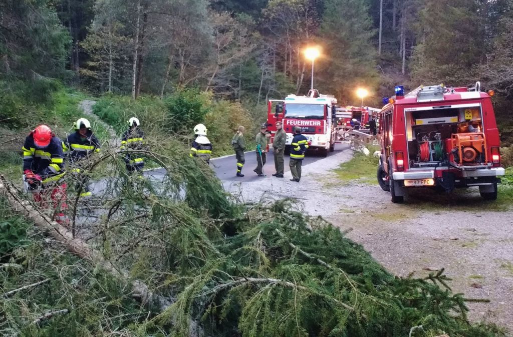 Sieben FF auf einen Streich