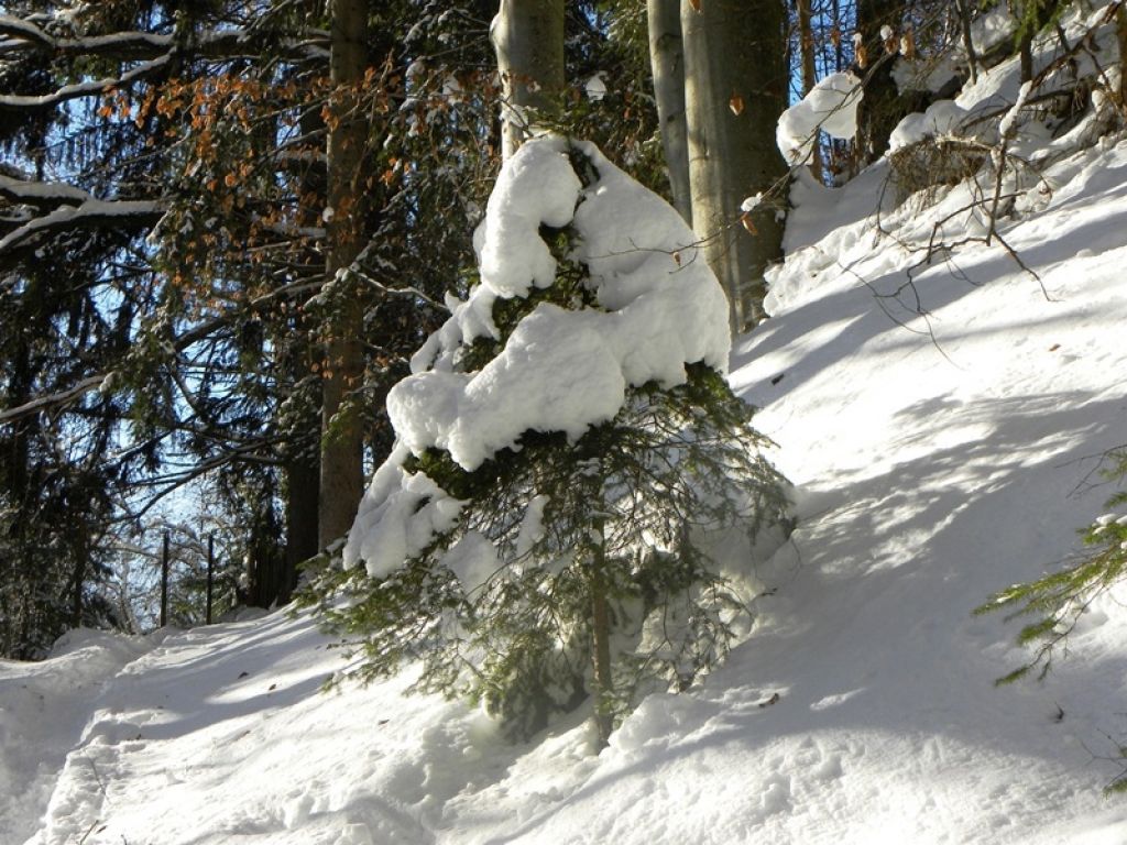 ´S Weihnachten - Besinnliche Zeit