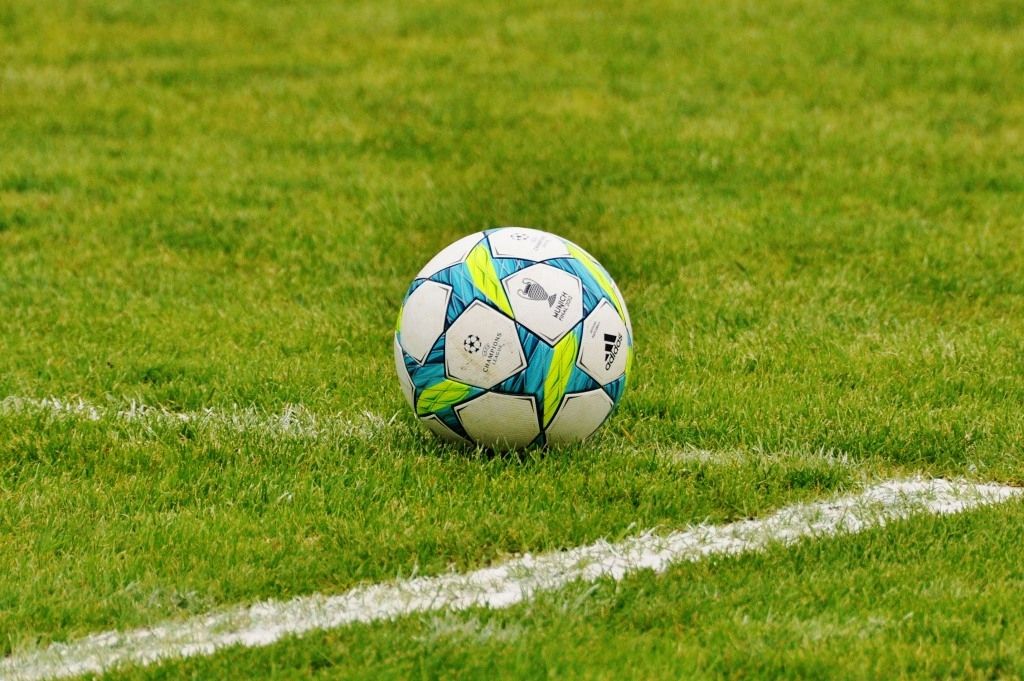 Fußballfans als Diebe ausgeforscht