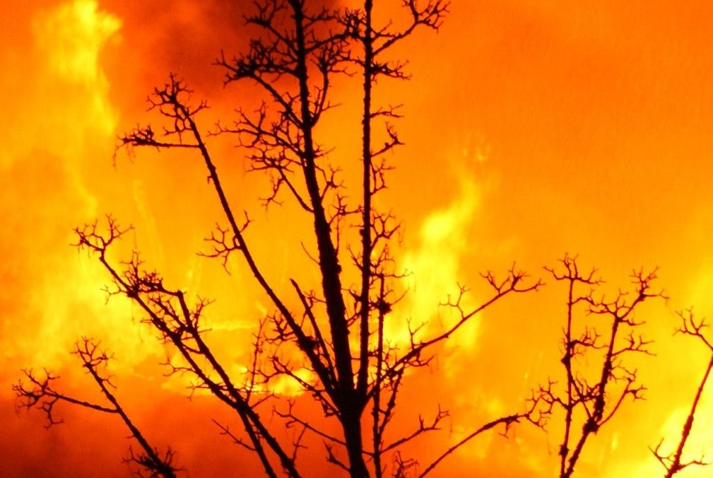 Unachtsamer Jäger unterschätzt Feuer