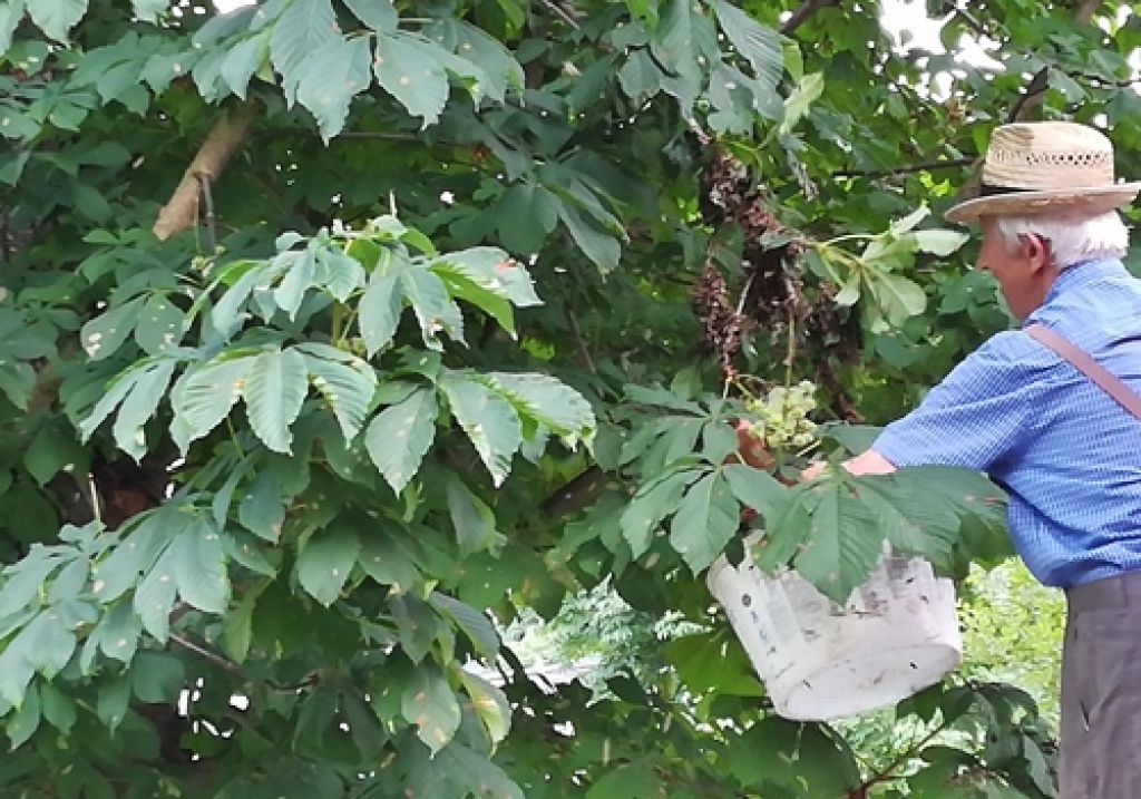 Spezielle Tierrettung der FF Stainach