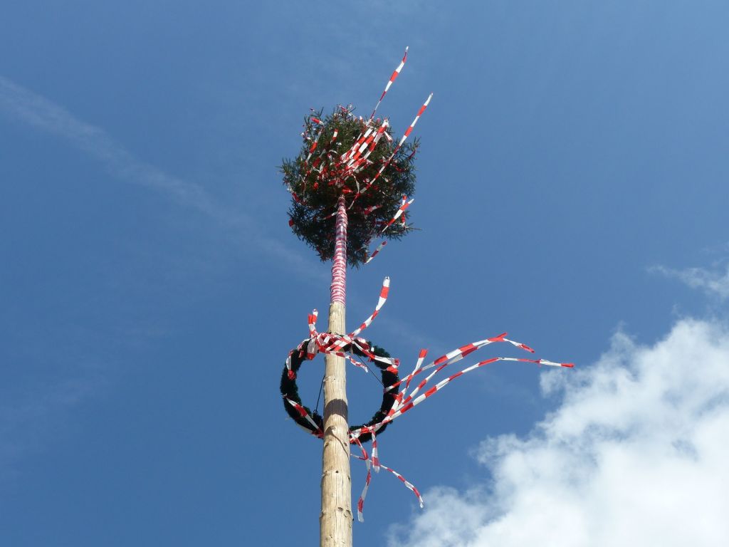 Maibaum fiel auf ein Einfamilienhaus