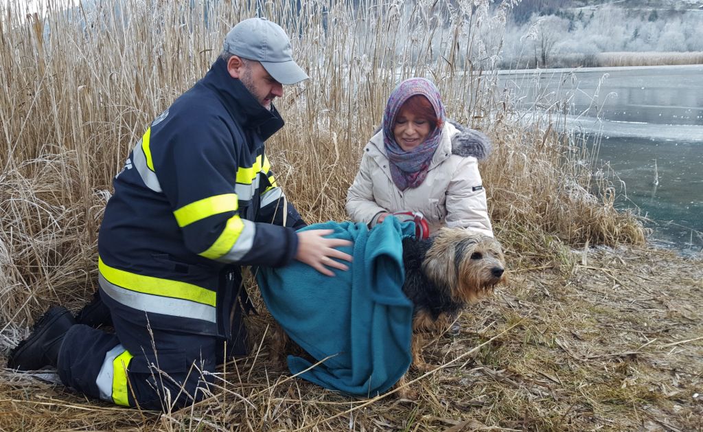 Tierrettung der Feuerwehr Gaishorn