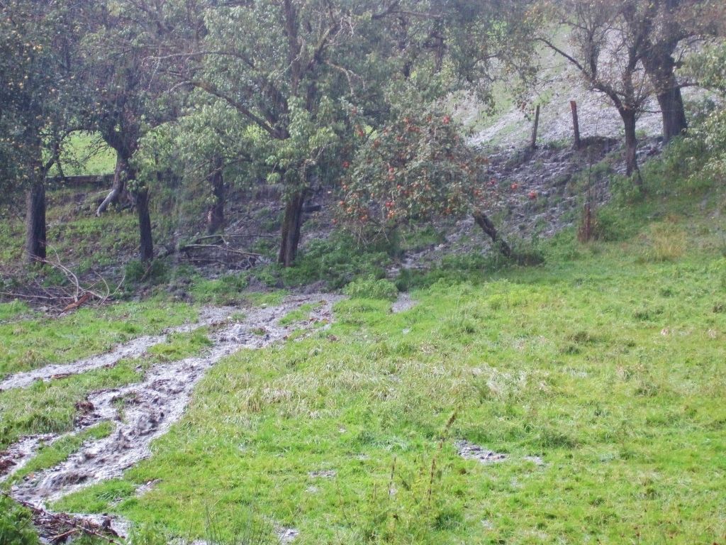 Schweres Unwetter in Dietmannsdorf