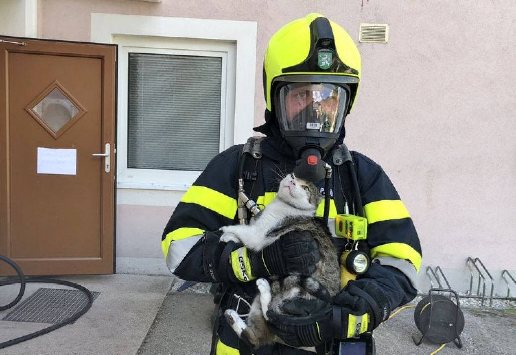 Wohnungsbrand und Tierrettung in Liezen