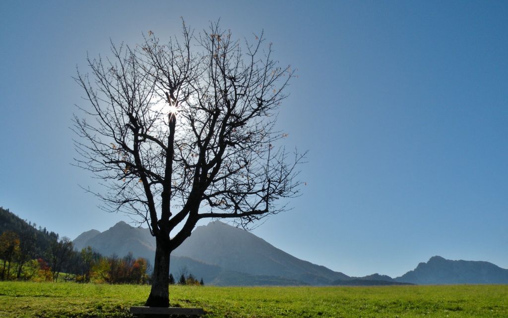 Schon bald kommt die Sommersonnenwende