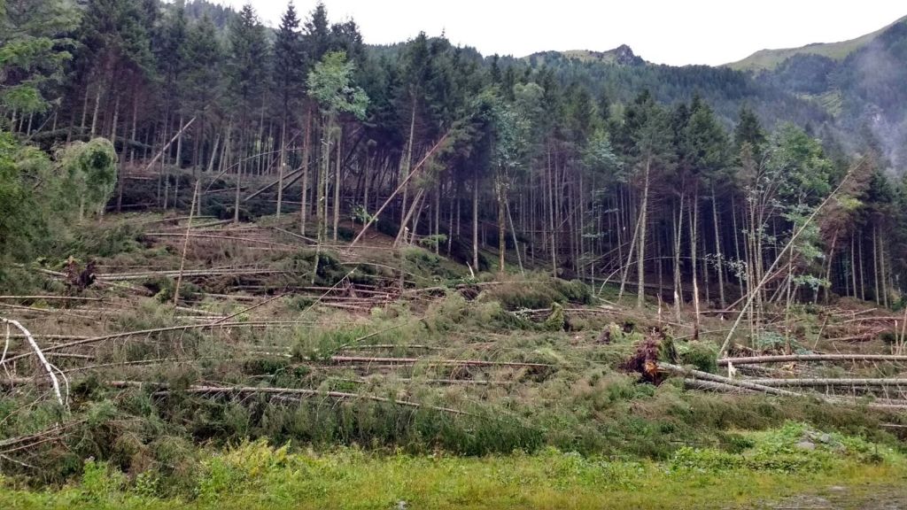 10 ha Windwurf in der Kleinsölk
