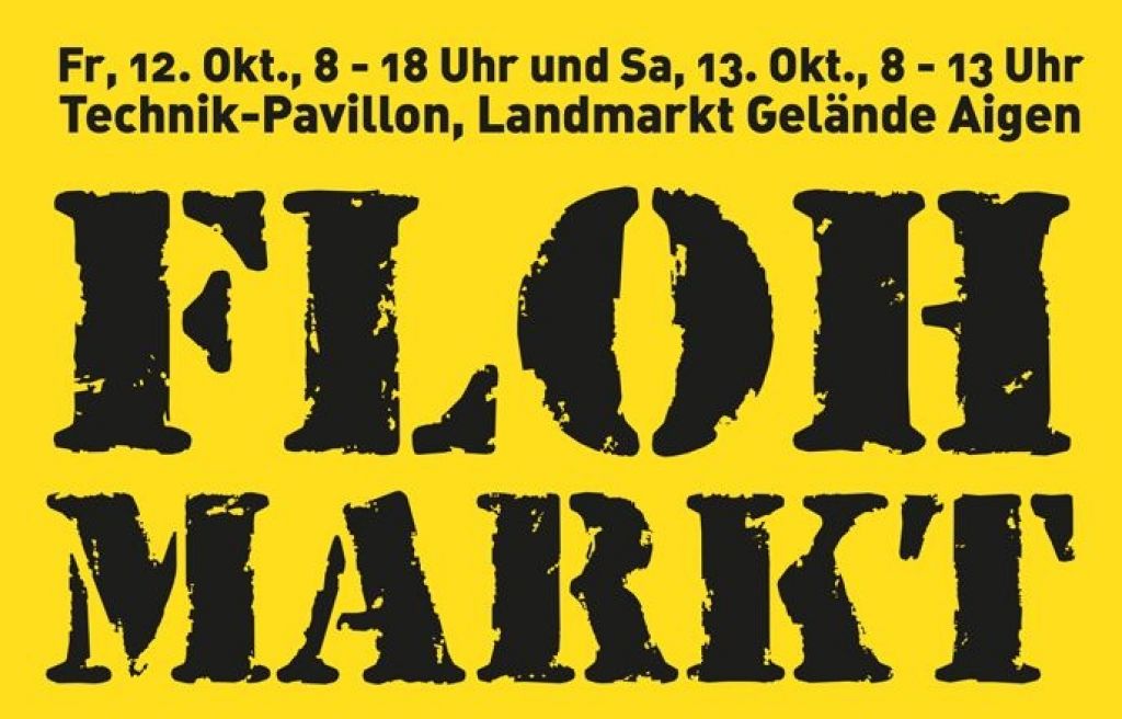 Flohmarkt beim Technik Pavillon