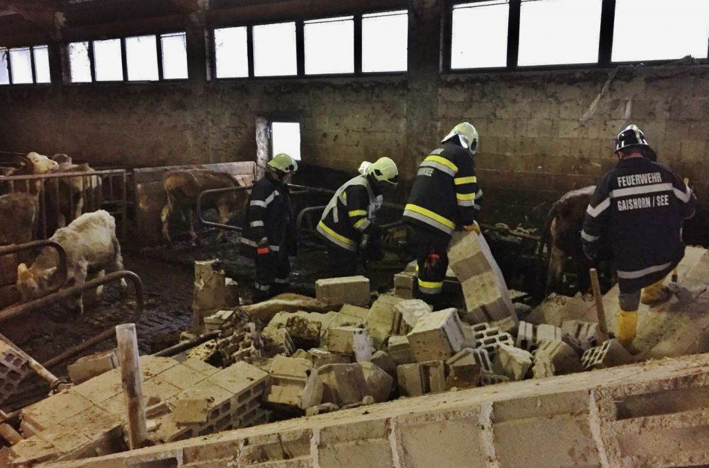 Tierrettung der Feuerwehren Au und Gaishorn