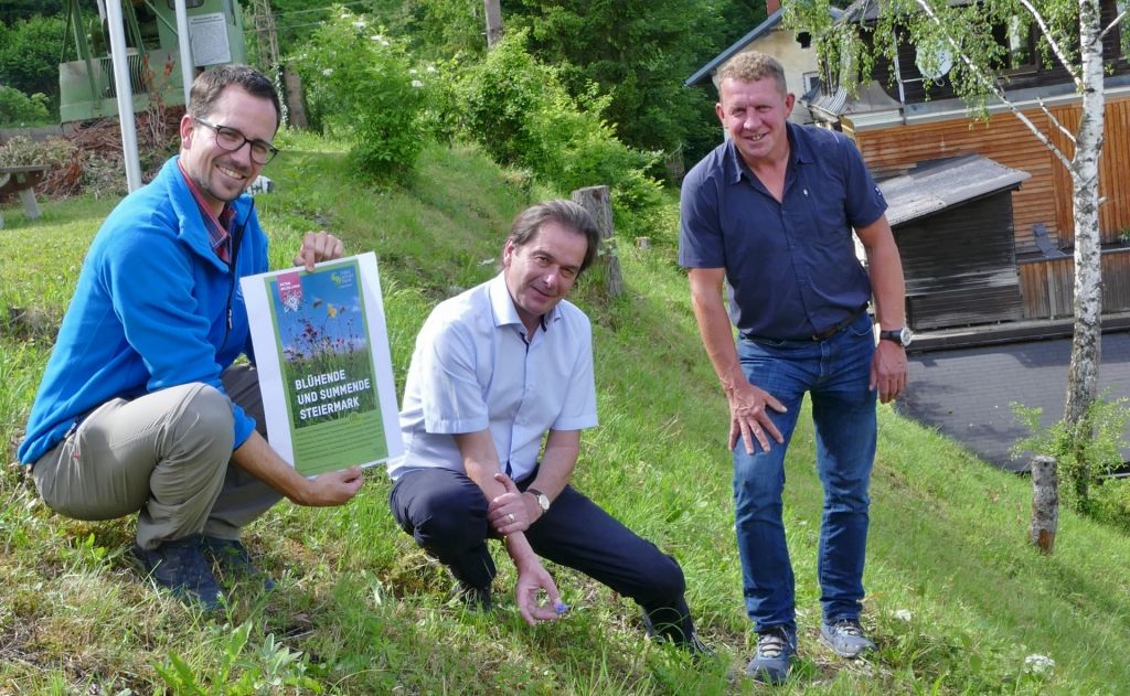 „Bunte Wies’n wie früher“ im Natur- und Geopark