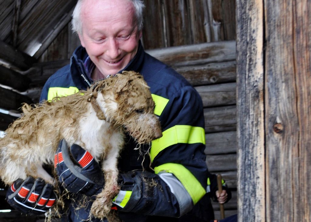 Tierrettung in Bad Mitterndorf