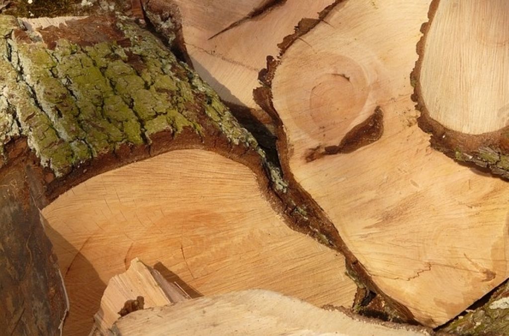 Bei Holzarbeiten schwer verletzt