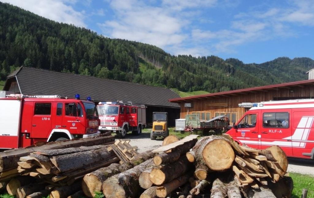 Tierbergung in Gröbming