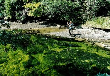 Fischen in unberührter Natur und in glasklarem Wasser hat im Salzkammergut eine lange Tradition. Mit dem Anfischen startet die Saison für alle Freunde des Angelsports.