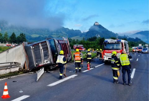Tiertransporter mit 187 Schweinen auf A9 umgestürzt