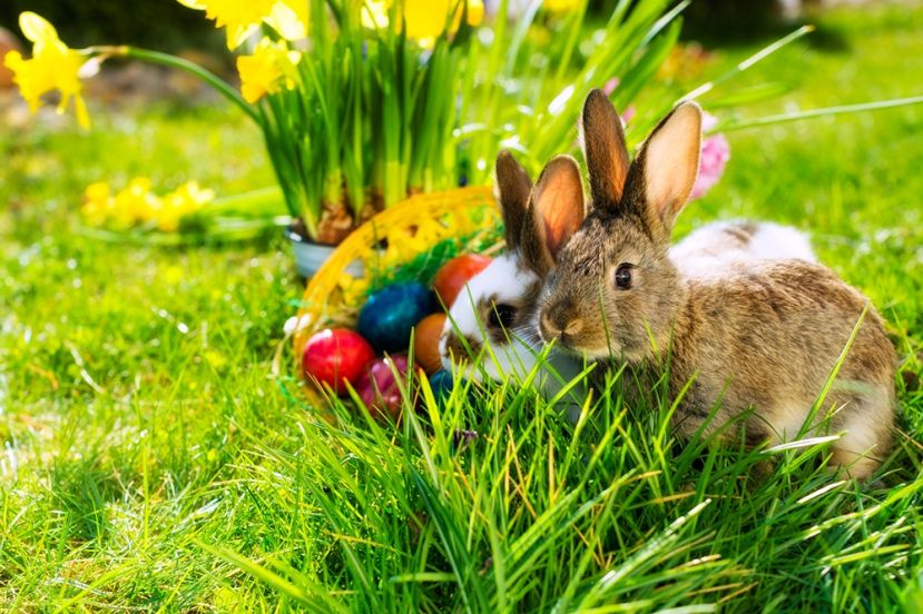 Ostern steht vor der Tür