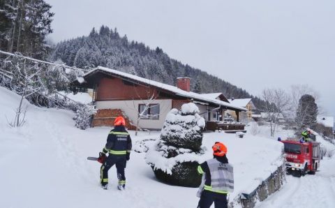 Bäume auf Wohnhaus gestürzt