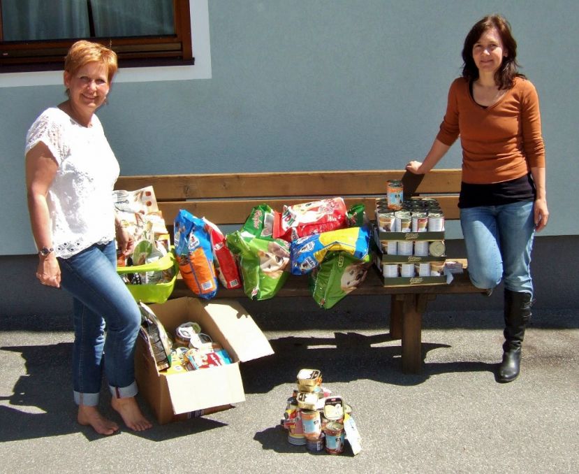 Geburtstagstisch mit Hundefutter