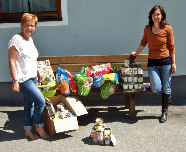 Geburtstagstisch mit Hundefutter