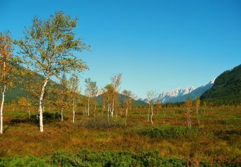 Natur erwandern und genießen