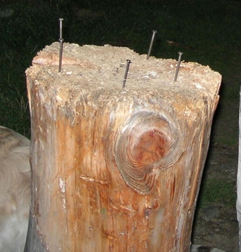 Naglstock vor der Tretterhütte