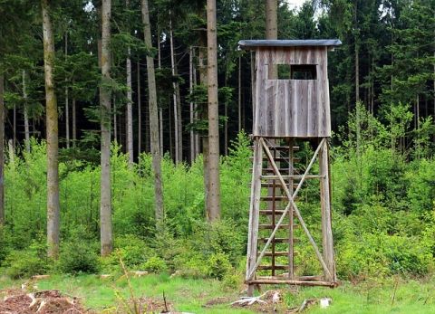 Sturzverletzung mit Todesfolge