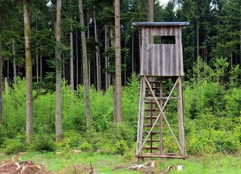 Sturzverletzung mit Todesfolge