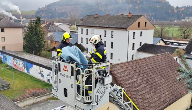 Tierrettung hoch über den Dächern