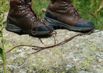 Aus alpiner Notlage gerettet