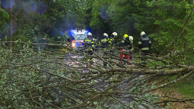 Einsatzübersicht nach Unwetter für den Bezirk