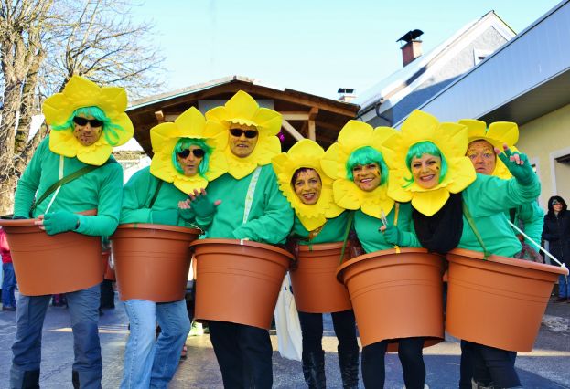 Faschingsumzug in der Bezirkshauptstadt