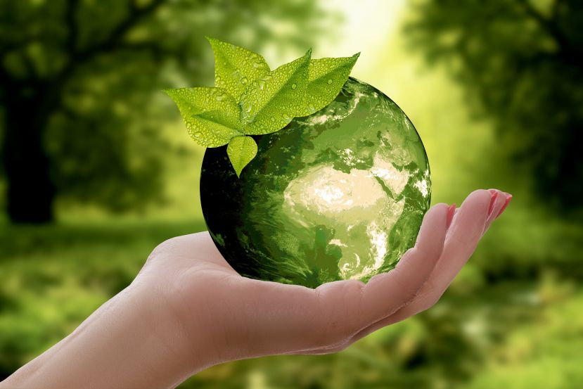 Nachhaltigkeit – das neue Wunderwort?