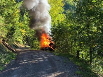PKW Brand auf Forststrasse