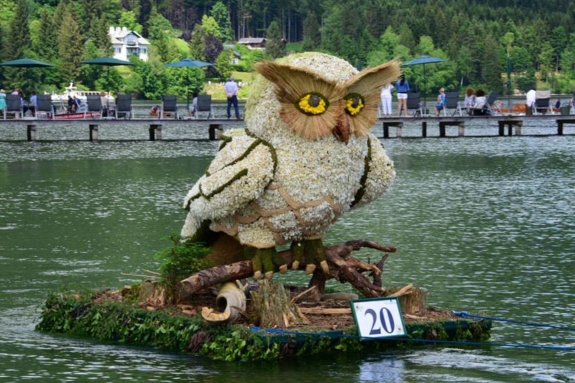 Waschbär, Eule und der Clown