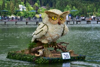 Waschbär, Eule und der Clown