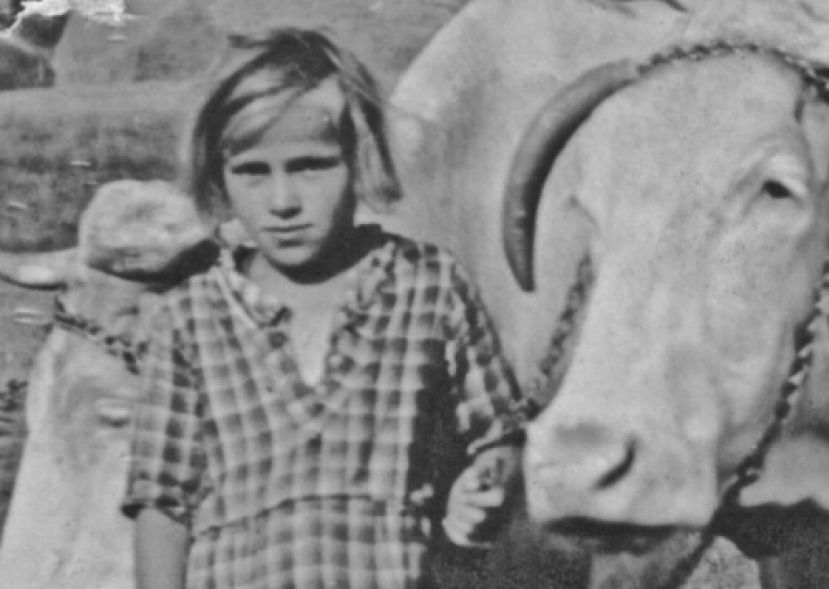 Ensemble die butterlosen brote ANNA