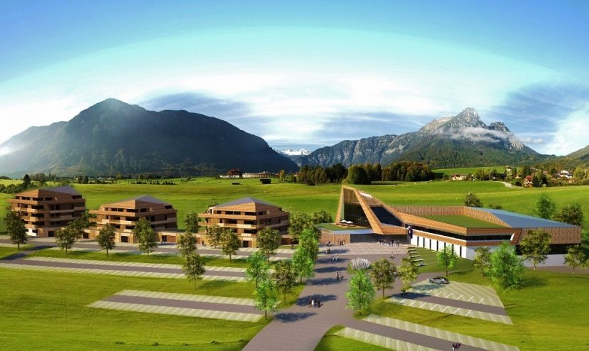 Narzissen in Bad Aussee