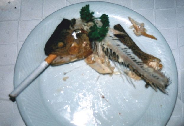 Nicht Fisch nicht Fleisch ...