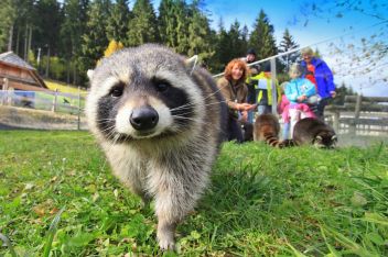 Ferien voller Abenteuer: Am Wilden Berg genießen Eltern und Kinder die wertvollste Zeit des Jahres gemeinsam.