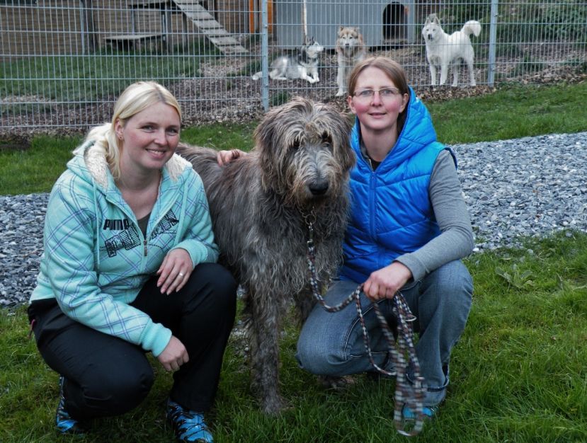 Weil Tiere nicht sprechen können